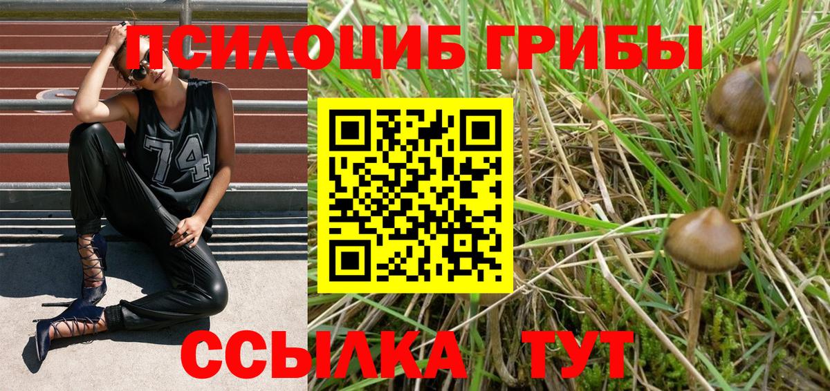 Галлюциногенные грибы Magic Shrooms Звенигород