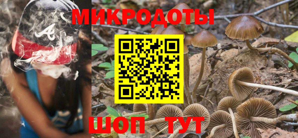 Звенигород  Галлюциногенные грибы Magic Shrooms  Вход с VPN 